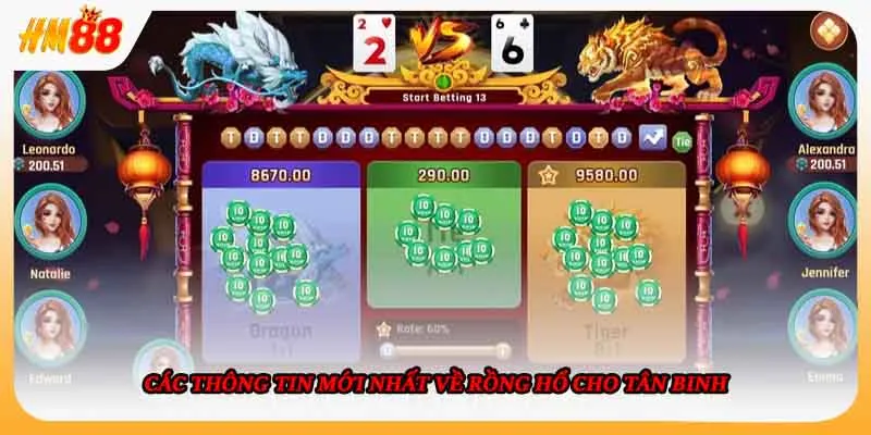 Các thông tin mới nhất về Rồng Hổ cho tân binh