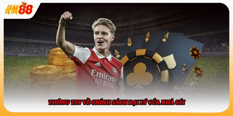 Thông tin về chính sách đại lý của nhà cái